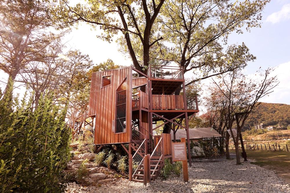 Midas Hotel & Resort Gapyeong Εξωτερικό φωτογραφία